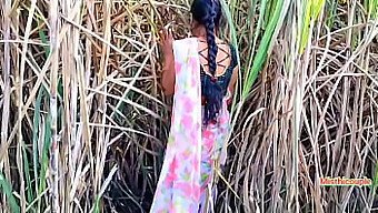 Amateur Threesome With Young Indian Teen In Sugarcane Field