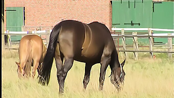 Duitse Amateur Met Grote Natuurlijke Tieten Houdt Ervan Om Te Masturberen In De Vrije Natuur