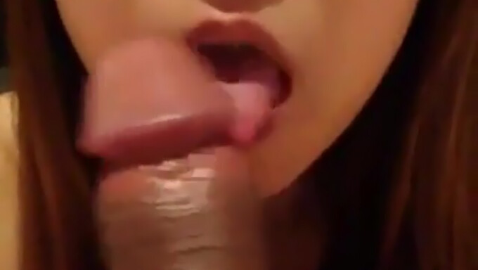 Video Pov Dari Blowjob Yang Nikmat.