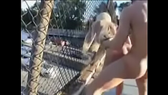 Public Outdoor Anal With Big-Titted Blonde